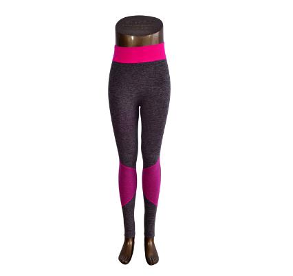 Gradient Yoga PantsLuna Daze