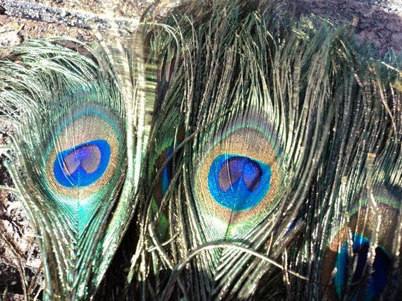 Feather Earrings, Luna Daze