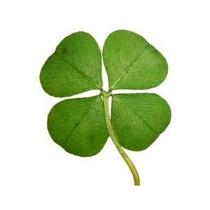 Lucky Daze LocketJewelryLuna Daze