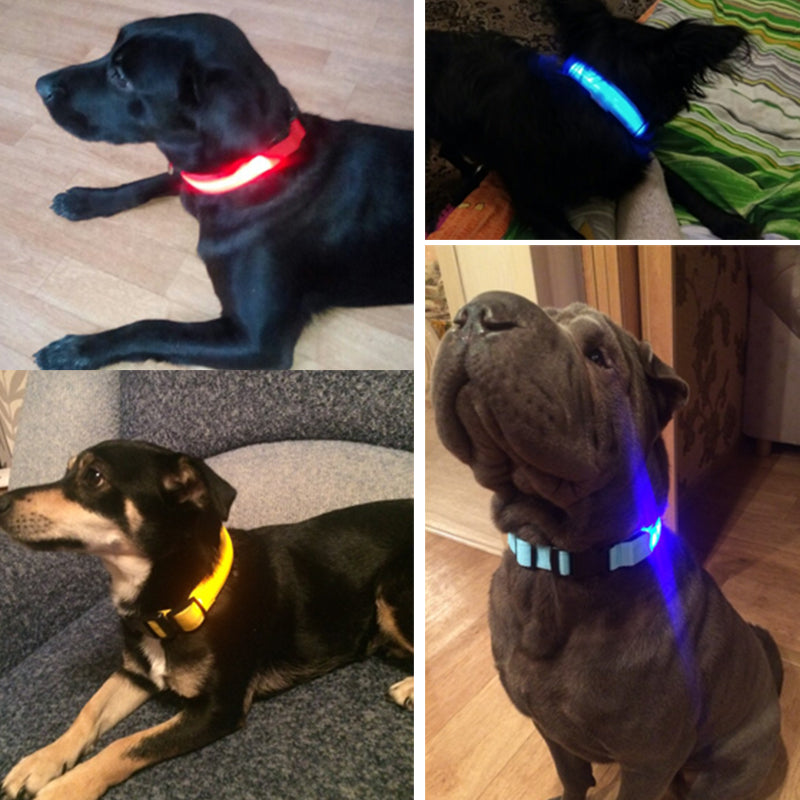 Reflective Night Safety Dog CollarAccessoriesLuna Daze