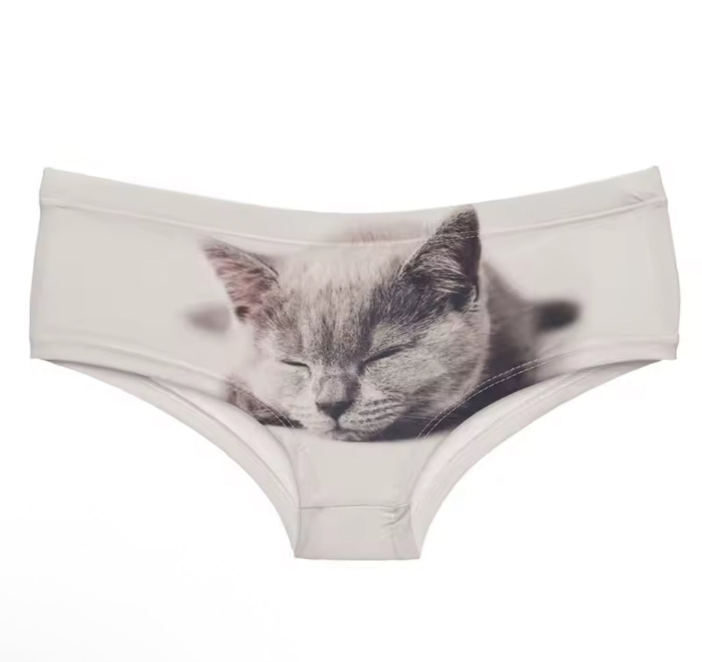Here Kitty Kitty Panties