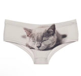 Here Kitty Kitty Panties