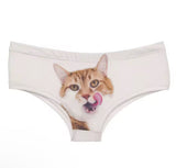 Here Kitty Kitty Panties