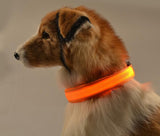 Reflective Night Safety Dog CollarAccessoriesLuna Daze